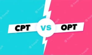 du học Mỹ, kinh nghiệm, làm việc, opt, cpt | Princeton English